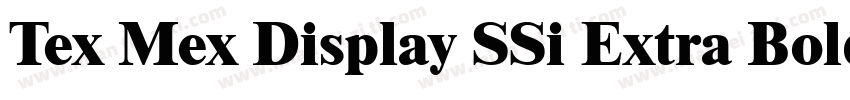 Tex Mex Display SSi Extra Bold字体转换